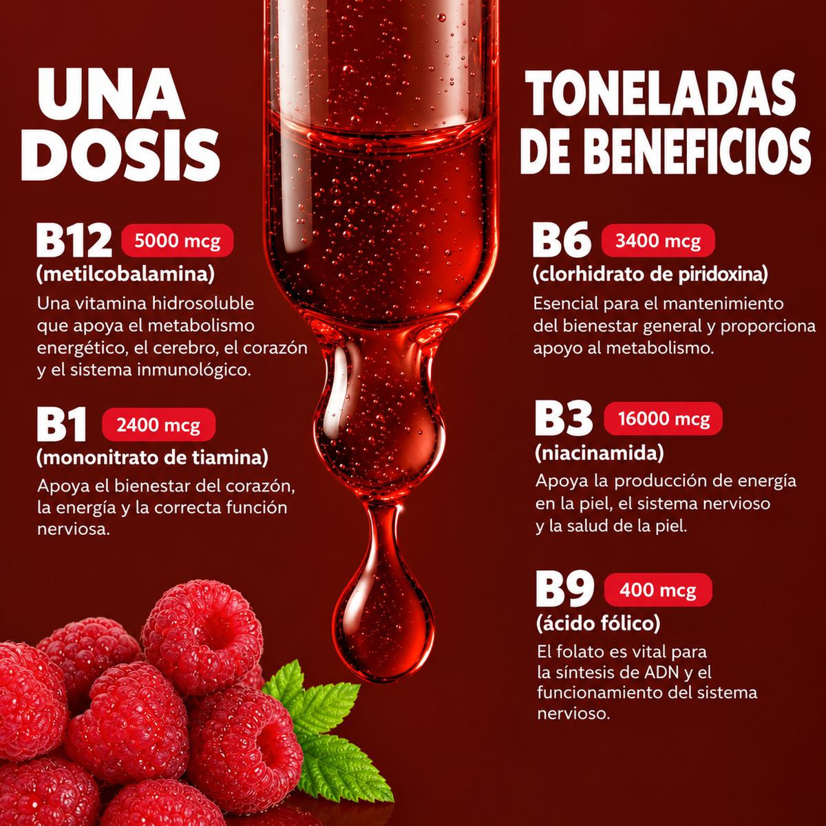 5 en 1- Complejo de Vitamina B